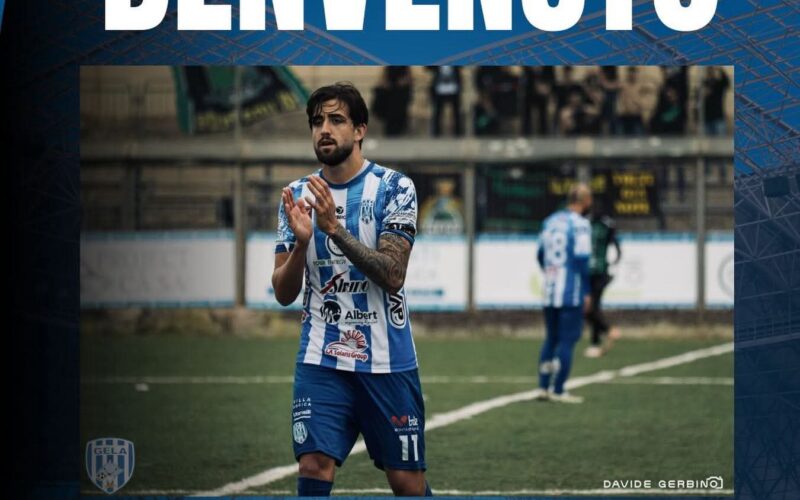 Vincenzi